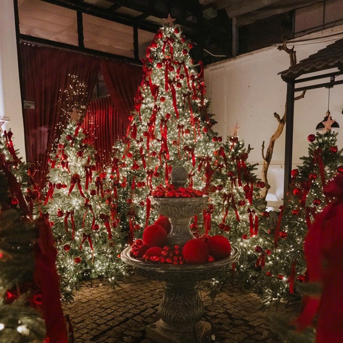 Chủ đề Rừng thông